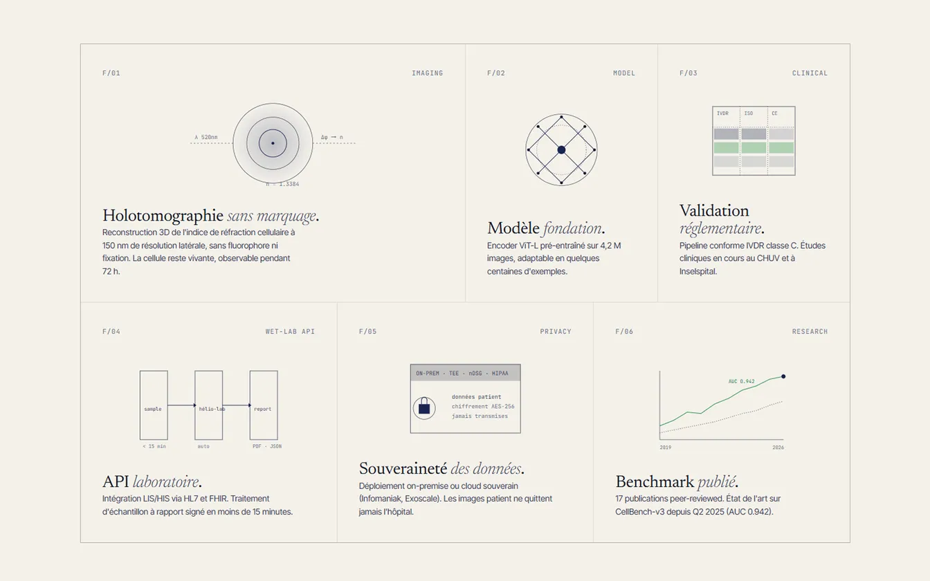 Site web pour une startup